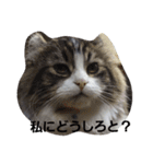 こじろうの気持ち（個別スタンプ：5）