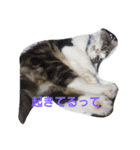 こじろうの気持ち（個別スタンプ：11）