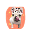 フレブルのこてっつぁん（個別スタンプ：2）