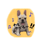 フレブルのこてっつぁん（個別スタンプ：6）