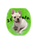 フレブルのこてっつぁん（個別スタンプ：7）