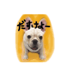 フレブルのこてっつぁん（個別スタンプ：8）