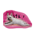 フレブルのこてっつぁん（個別スタンプ：9）