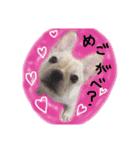 フレブルのこてっつぁん（個別スタンプ：14）