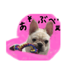 フレブルのこてっつぁん（個別スタンプ：16）