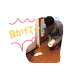 ちゃんちゃん（個別スタンプ：22）