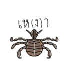 cutie thai animals（個別スタンプ：36）