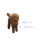 チョコの気持ち（個別スタンプ：1）