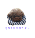 チョコの気持ち（個別スタンプ：3）