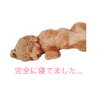 チョコの気持ち（個別スタンプ：7）