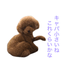 チョコの気持ち（個別スタンプ：8）