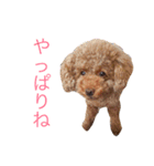 チョコの気持ち（個別スタンプ：15）