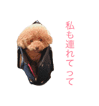 チョコの気持ち（個別スタンプ：18）