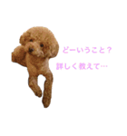 チョコの気持ち（個別スタンプ：22）