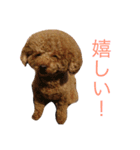 チョコの気持ち（個別スタンプ：23）
