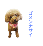 チョコの気持ち（個別スタンプ：24）