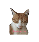 そら＆りく（個別スタンプ：1）