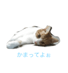 そら＆りく（個別スタンプ：2）