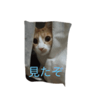 そら＆りく（個別スタンプ：4）
