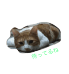 そら＆りく（個別スタンプ：5）