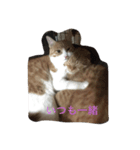 そら＆りく（個別スタンプ：7）