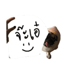 mini's dog ＆ friends（個別スタンプ：2）