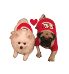mini's dog ＆ friends（個別スタンプ：3）