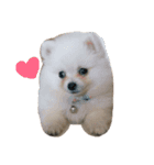 mini's dog ＆ friends（個別スタンプ：10）