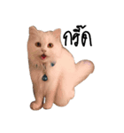 mini's dog ＆ friends（個別スタンプ：11）