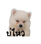 mini's dog ＆ friends（個別スタンプ：14）