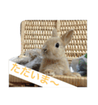 山下家のペット達2（個別スタンプ：2）