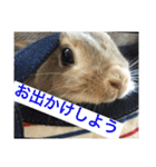 山下家のペット達2（個別スタンプ：13）