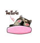 Thawpoo（個別スタンプ：4）