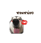 Thawpoo（個別スタンプ：6）