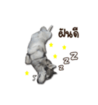 Thawpoo（個別スタンプ：8）