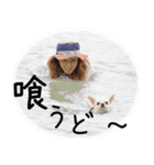 チーム変態の愉快な仲間たち。（個別スタンプ：16）
