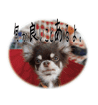 チーム変態の愉快な仲間たち。（個別スタンプ：19）