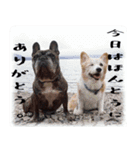チーム変態の愉快な仲間たち。（個別スタンプ：20）