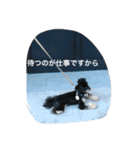 Kurokichidesu（個別スタンプ：9）