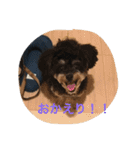 Kurokichidesu（個別スタンプ：11）