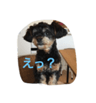 Kurokichidesu（個別スタンプ：14）