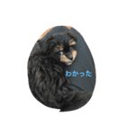 Kurokichidesu（個別スタンプ：15）