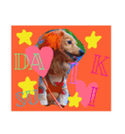 れおちぇ〜るてぃのがむしゃLIFE☆★（個別スタンプ：3）