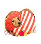 れおちぇ〜るてぃのがむしゃLIFE☆★（個別スタンプ：5）