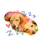 れおちぇ〜るてぃのがむしゃLIFE☆★（個別スタンプ：6）