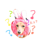 れおちぇ〜るてぃのがむしゃLIFE☆★（個別スタンプ：7）