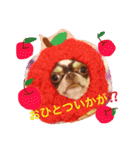 れおちぇ〜るてぃのがむしゃLIFE☆★（個別スタンプ：8）