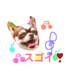 れおちぇ〜るてぃのがむしゃLIFE☆★（個別スタンプ：10）