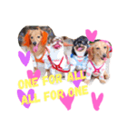 れおちぇ〜るてぃのがむしゃLIFE☆★（個別スタンプ：11）