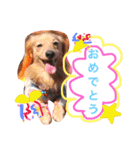れおちぇ〜るてぃのがむしゃLIFE☆★（個別スタンプ：12）